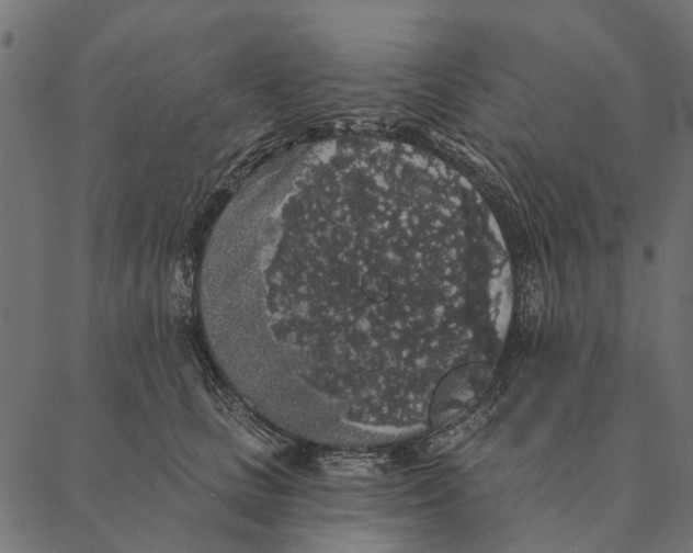X0000087340661200705181102