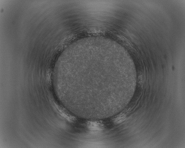 X0000087340662200705181102