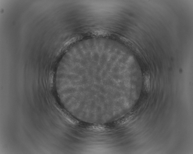 X0000087340668200705181103