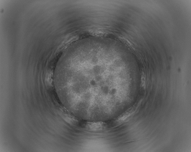 X0000087340671200705181103