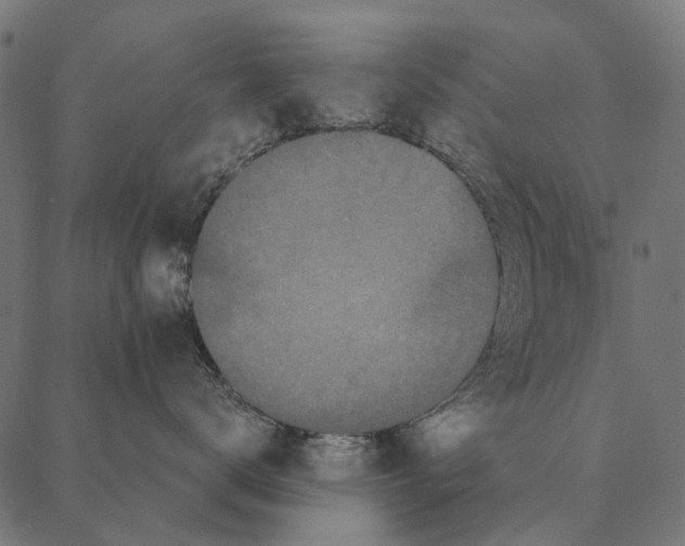 X0000087340672200705181103