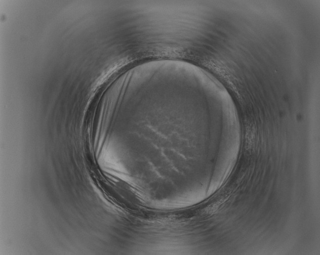 X0000087340674200705181102