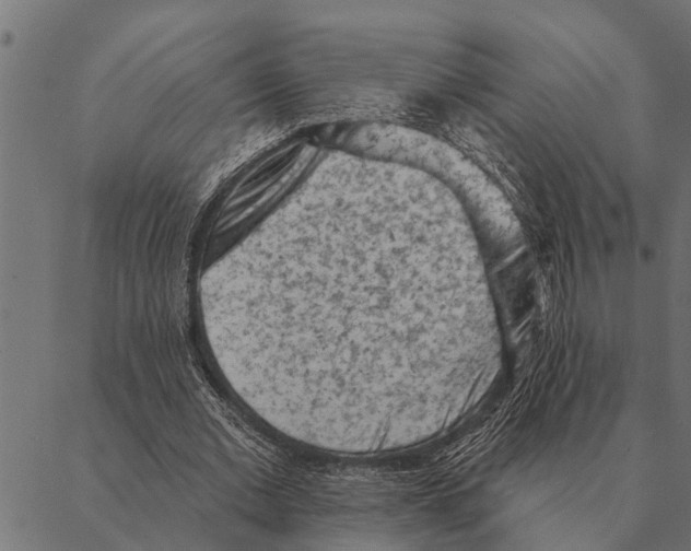 X0000087340677200705181102