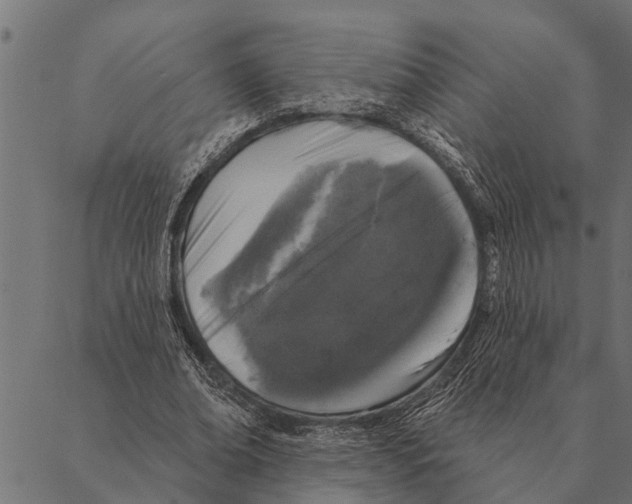 X0000087340678200705181102