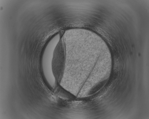 X0000087340681200705181102