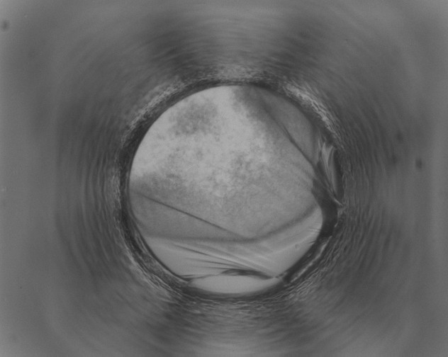X0000087340684200705181102