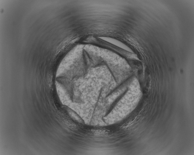 X0000087340693200705181101