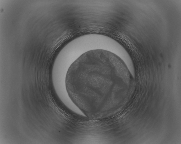 X0000087340696200705181101