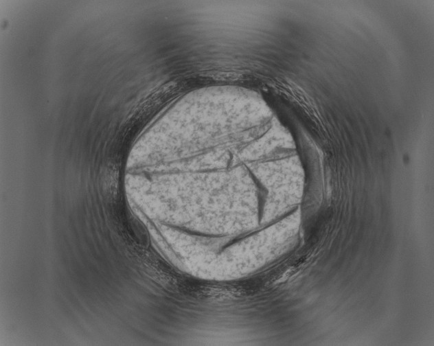 X0000087340697200705181101