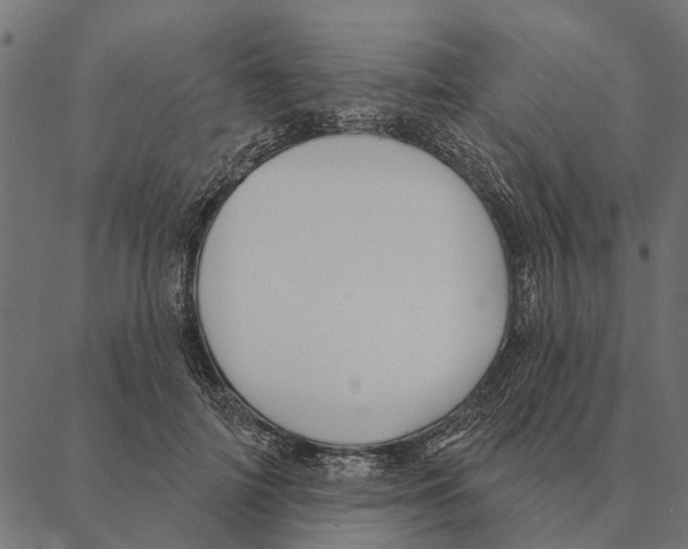 X0000087340698200705181101