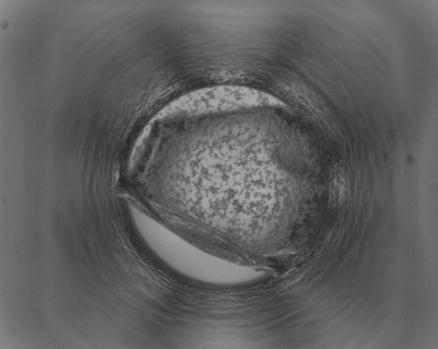 X0000087340700200705181101