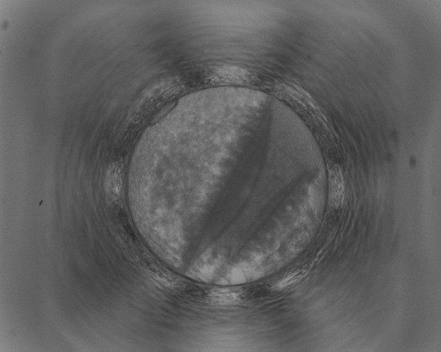 X0000087340701200705181101