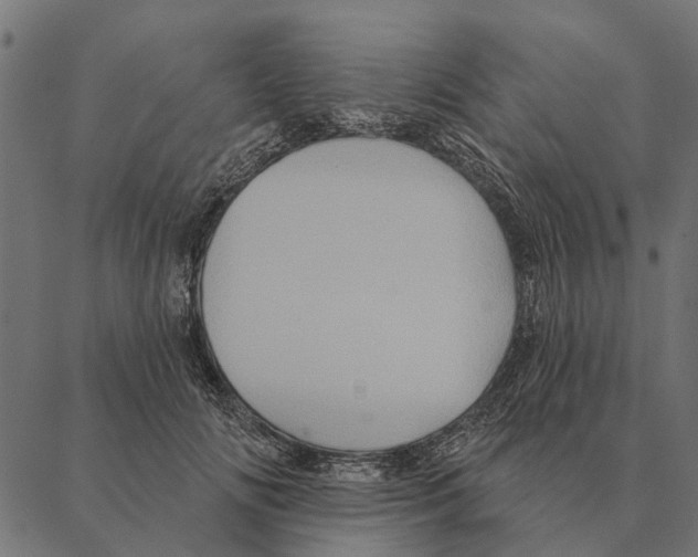 X0000087340702200705181101