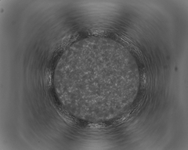 X0000087340703200705181101