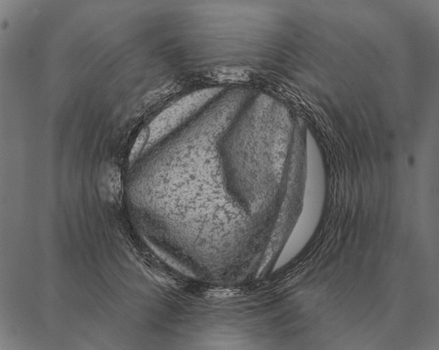 X0000087340704200705181101