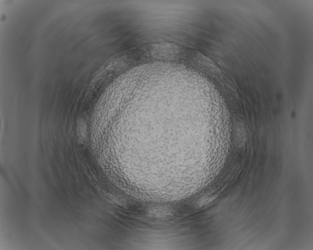 X0000087340705200705181101