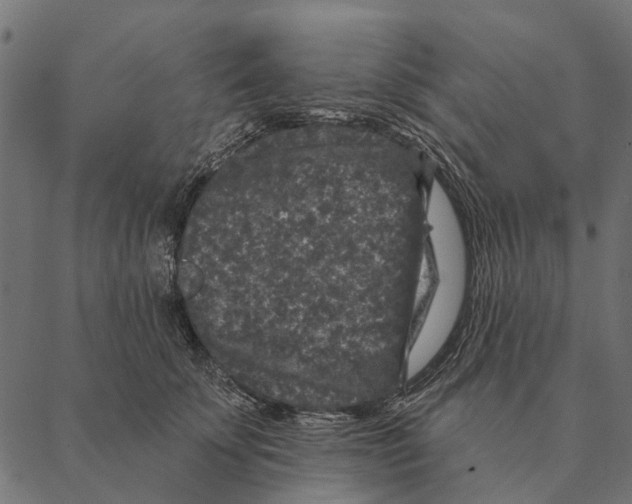 X0000087340707200705181101