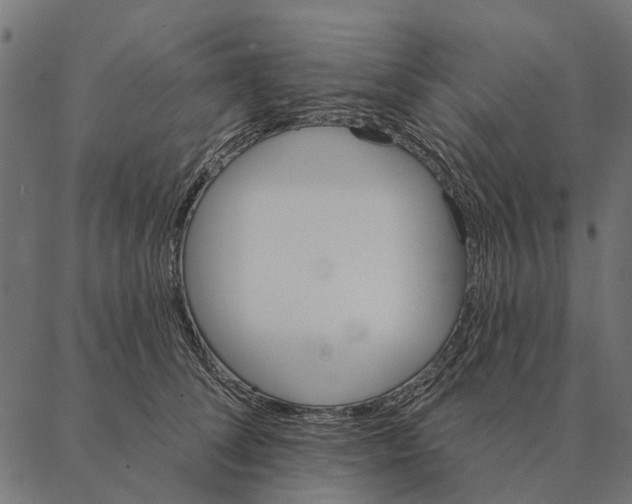 X0000087340708200705181101