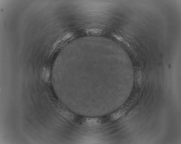 X0000087340709200705181101