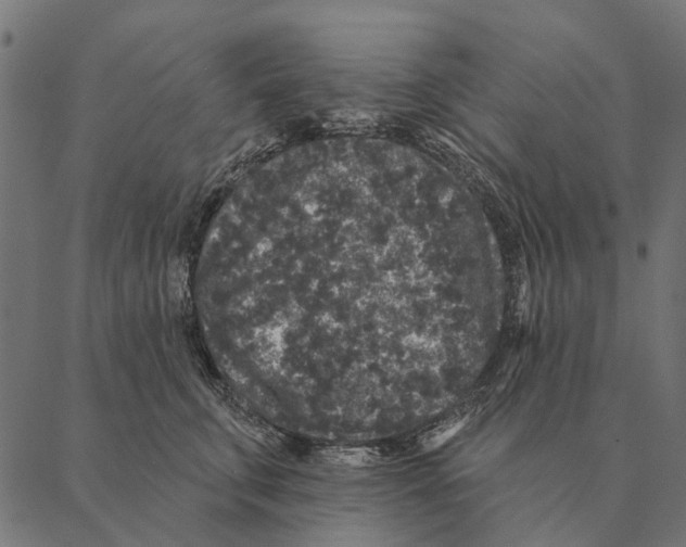 X0000087340711200705181101