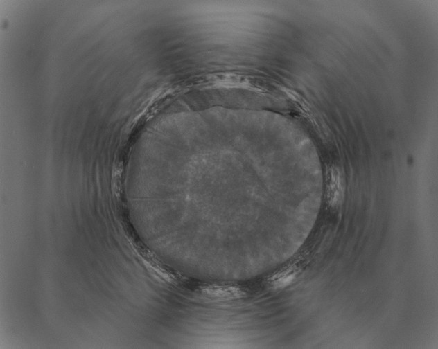 X0000087340712200705181101