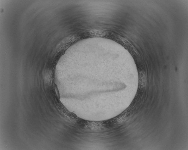 X0000087340713200705181101