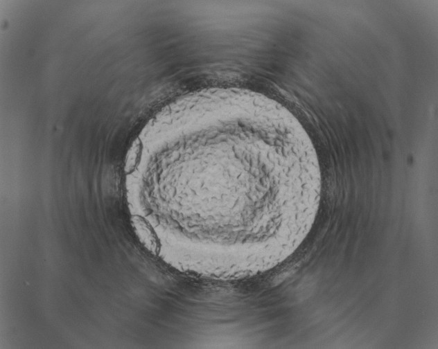 X0000087340715200705181101