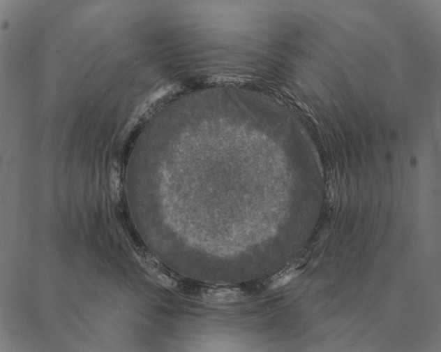 X0000087340716200705181101