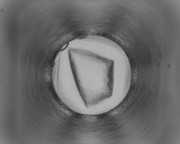 X0000087340719200705181101