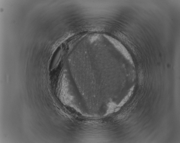 X0000087340721200705181100