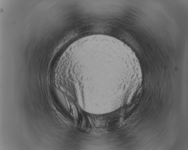 X0000087340722200705181100