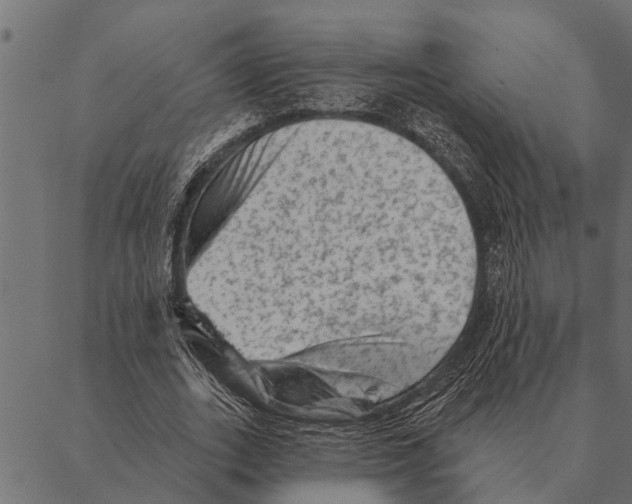 X0000087340727200705181100