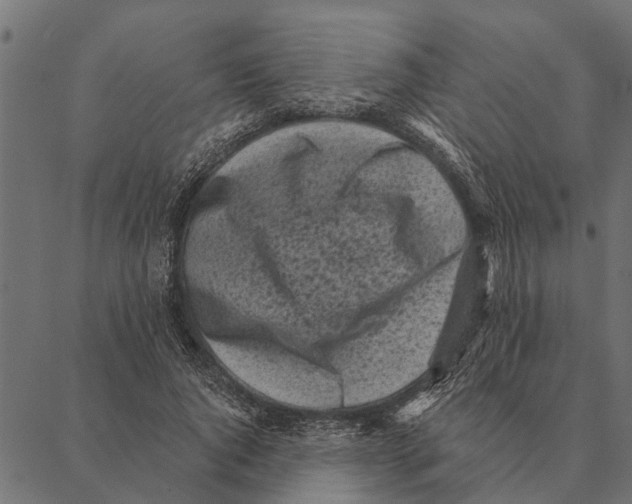 X0000087340736200705181101