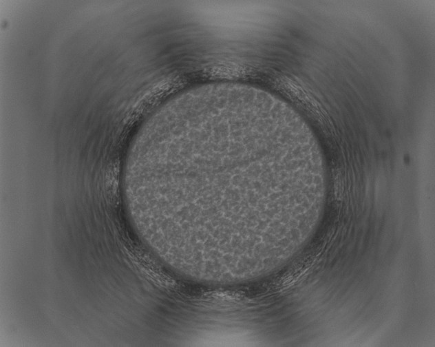 X0000087340737200705181101