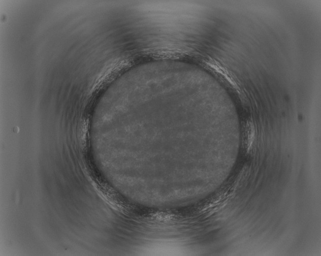 X0000087340742200705181101