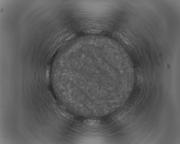 X0000087340745200705181101