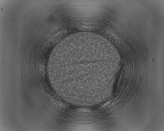 X0000087340749200705181101