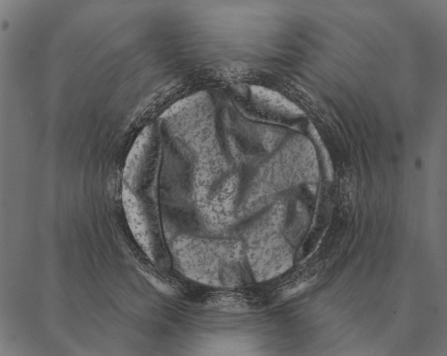 X0000087340750200705181101