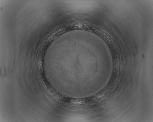 X0000087340754200705181101