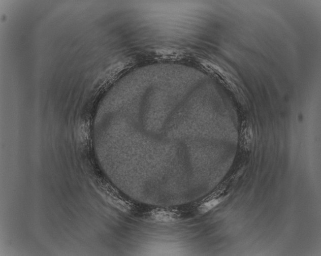 X0000087340756200705181101