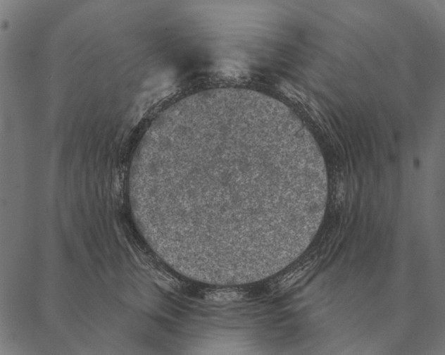 X0000087340759200705181101