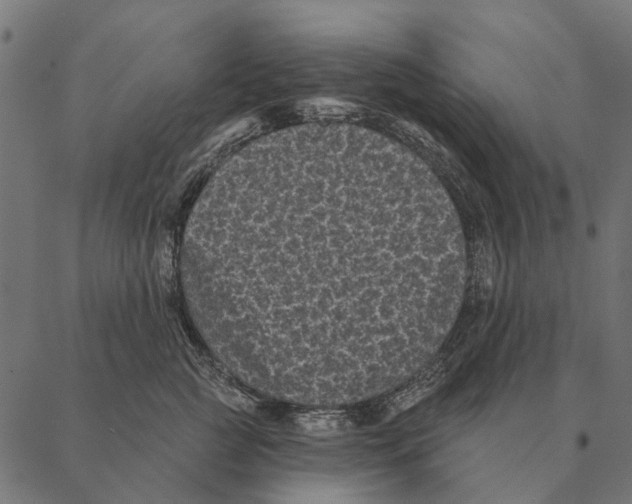 X0000087340761200705181101