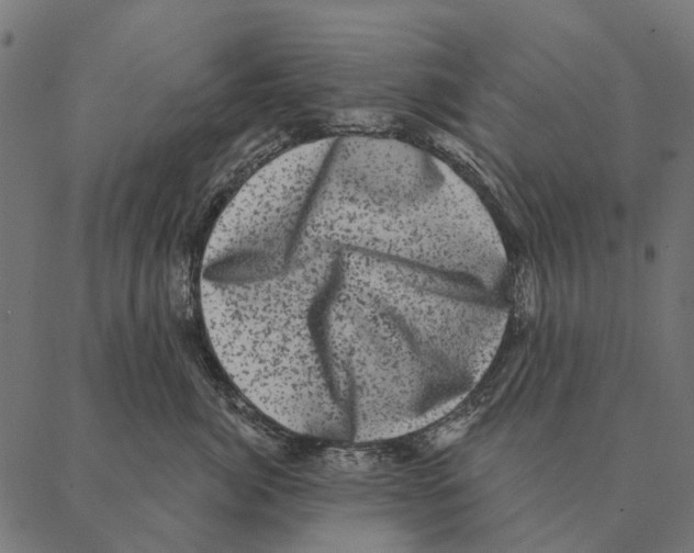 X0000087340764200705181101