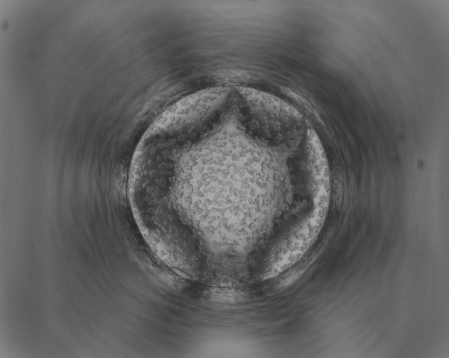 X0000087340766200705181101