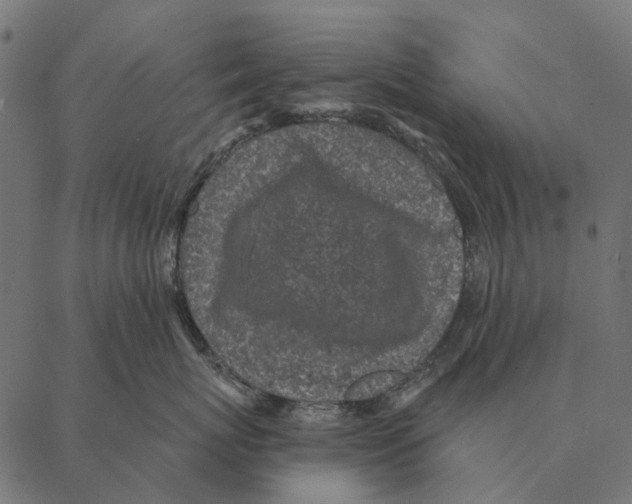 X0000087340767200705181101