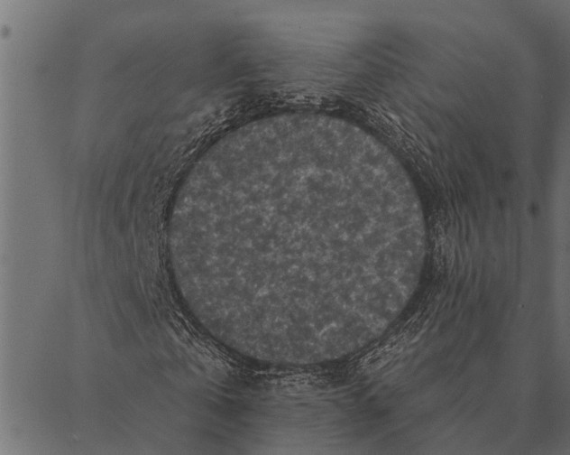 X0000087340769200705181100