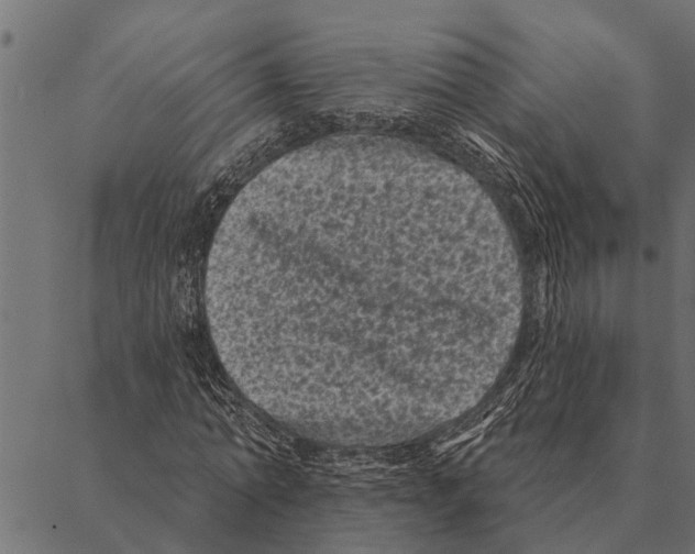 X0000087340774200705181100