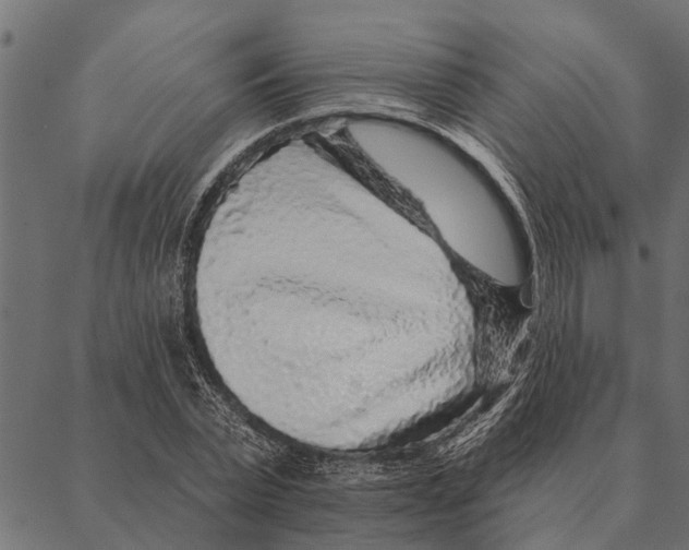 X0000087340783200705181100