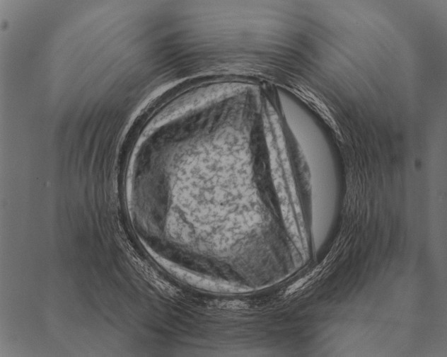 X0000087340784200705181100