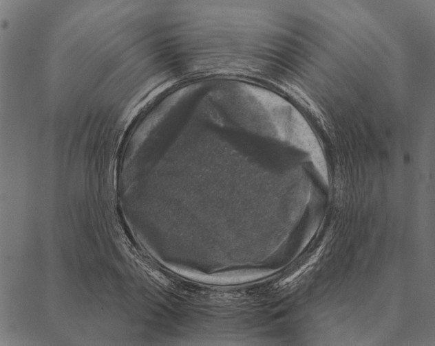 X0000087340790200705181100